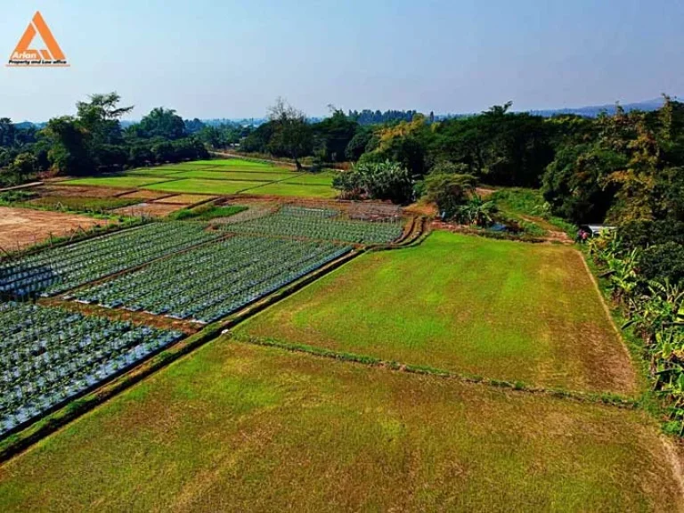 ขายที่ดิน หลังปั๊มน้ำมัน ปตท น้ำแพร่ เส้นคันคลอง เชียงใหม่