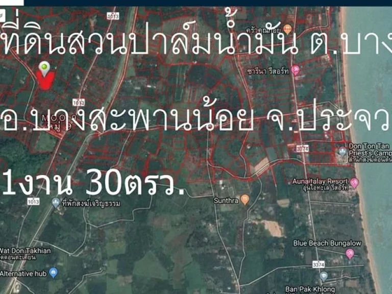 ขายด่วน ถูกมาก ไร่ละ 25 แสน ที่ดินสวนปาล์มน้ำมัน ตบางสะพาน อบางสะพานน้อย จประจวบ