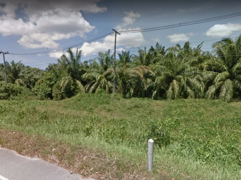 ขายที่ดินติดถนนเพชรเกษม 4000 ไร่ อคุระบุรี จพังงา Land for sale Petchkasem Road 4000 rai Khura Buri district Phang-nga