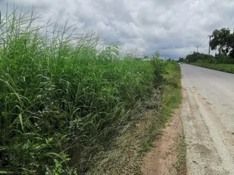 ขายที่ดินถนนสุวินทวงศ์อยู่หลังตลาดสุวินทวงค์ 11 3 ไร่