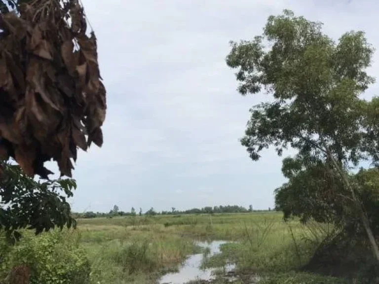 ที่ดินนาติดคลอง เข้าออกสะดวก ตำบลดงละคร อำเภอเมือง จังหวัดนครนายก