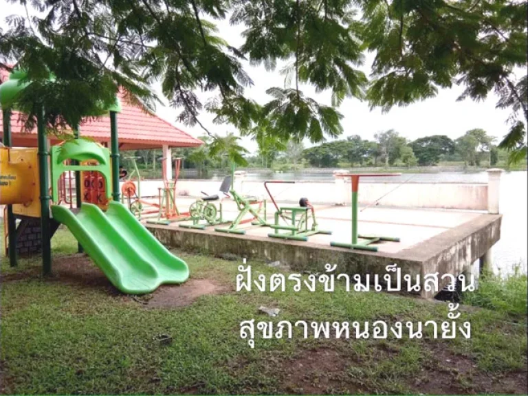 ที่ดินจัดสรรแบ่งเพชรบูรณ์ราคาถูก