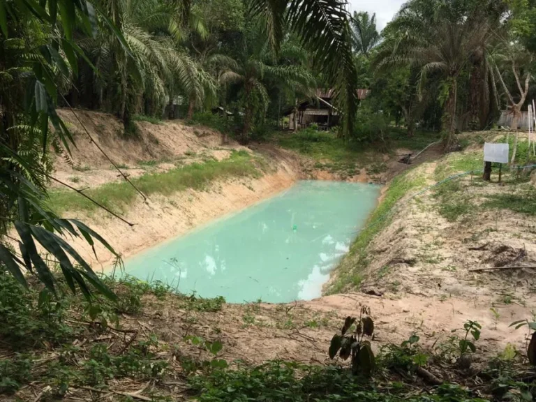 ขายที่ดินจังหวัดสุราาฏร์ธานี 100 ไร่