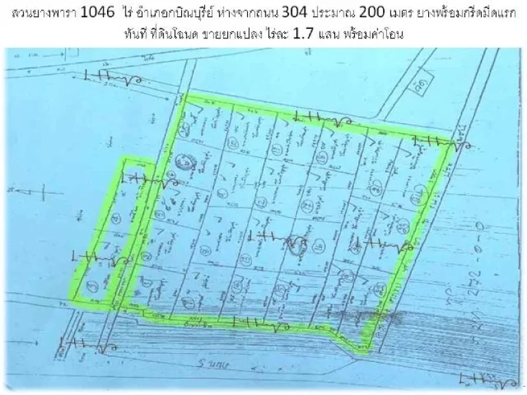 ขายสวนยางพารา 1046 ไร่ อำเภอกบิณบุรีย์ ห่างจากถนน 304 ประมาณ 200 เมตร