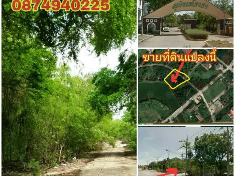 ขายถูกมาก ที่ดินเปล่า 1-2-59 ติดถนนด้านหน้าหมู่บ้านสุวินท์ธารา ใกล้ถนนสุวินทวงศ์ ตคลองหลวงแพ่ง อเมืองฉะเชิงเทรา