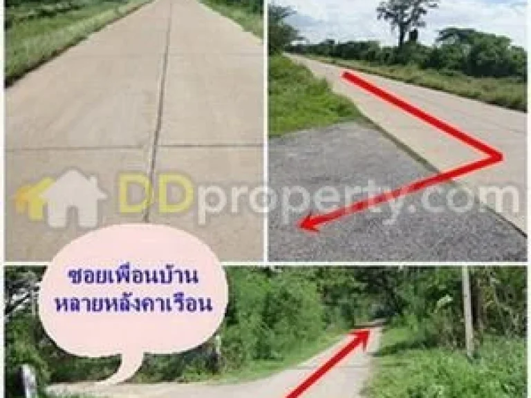 ที่ดินสวย 1 ไร่ 20 ตรว บ้านหนองหิน ตศิลา ใกล้ทางเลี่ยงเมือง บรรยากาศดี ราคาถูกสุดในโซนนี้