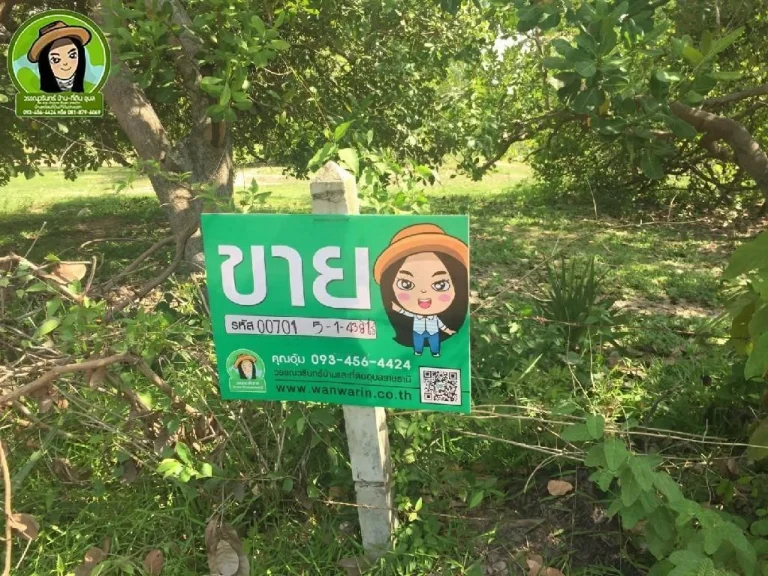 ที่ดินเปล่า เนื้อที่ 5-1-43 ไร่