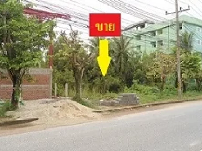 ขาย ที่ดิน 1 ไร่ 2 ห้อง ราคานี้ภายใน 6 เดือน