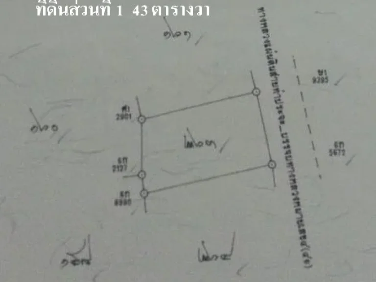 ขายที่ดินถมแล้ว 25 ไร่ จังหวัดพัทลุง