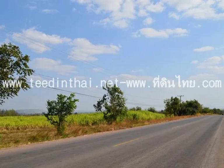 ขายที่ดินลำสนธิ - ที่ดินไทย 105 ไร่ เศษ โฉนด ตหนองรี อลำสนธิ จลพบุรี รหัส1801