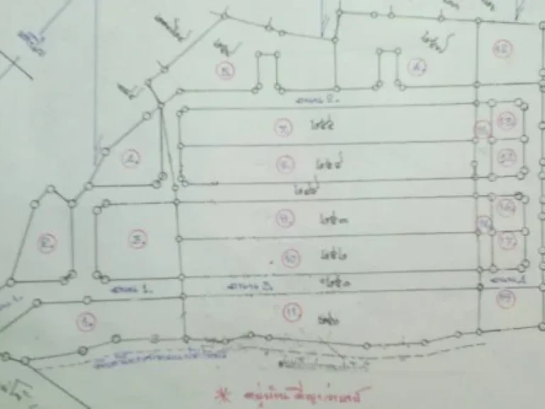 ขายที่ดิน17ไร่ติดถนนสายสันทรายแม่โจ้เยื้องการไฟฟ้าสันทรายติดหมู่บ้านดีญาวาเลย์ขายถูกๆ