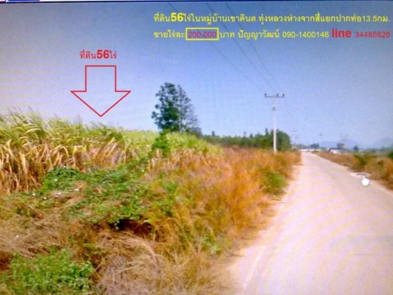 ที่ดิน56ไร่ในหมู่บ้านเขาดินตทุ่งหลวงห่างจากสี่แยกปากท่อ135กมขายไร่ละ200000บาท