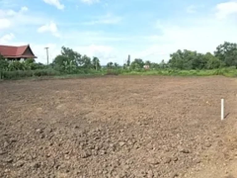 ขายที่ดิน 400 ตรว คลองหลวง คลอง 4 ซอย 37 ห่างจากวัดพระธรรมกายประมาณ 4 กม