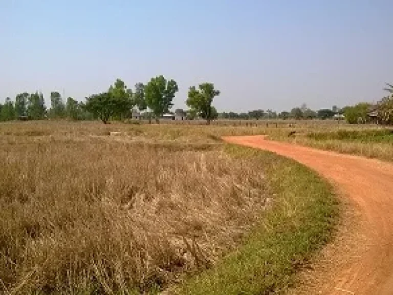 ที่นาริมถนนมะลิวัลย์ หลังรพบ้านฝางทำนาได้