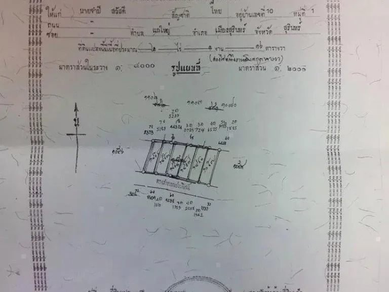 แบ่งขายที่ดินแกใหญ่ด่วนร้อนเงิน 2 ไร่ 1 งาน 16 ตรวา ลดราคาลงจากเดิม