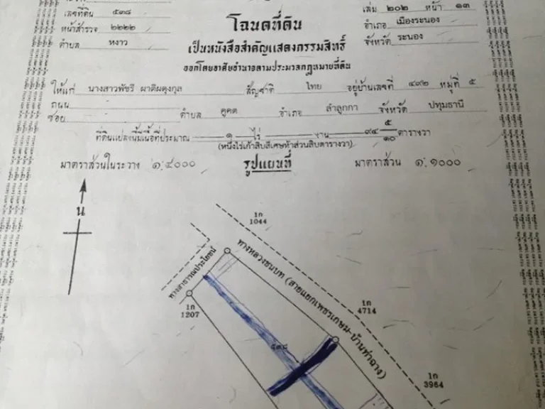 ขายที่ดิน 90 ตรว ตรวละ 9500 อเมือง จระนอง ที่สวย ราคาถูก