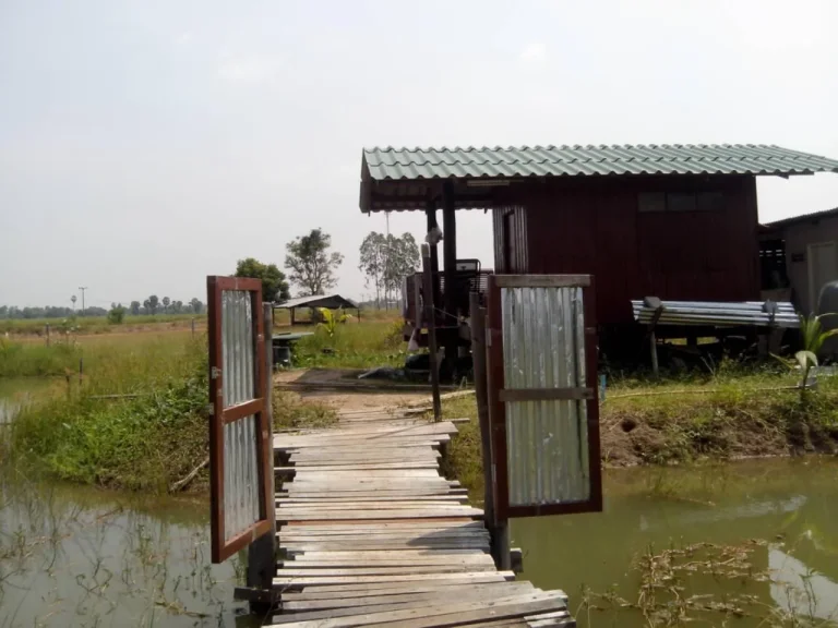 ขายที่ดินติดถนนสองด้าน และติดสี่แยก เจ้าของขายเอง