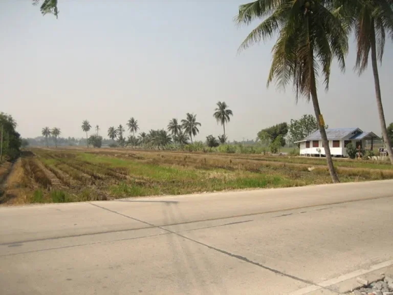 ขายที่สวย 40 ไร่ ถนนกาญจนาภิเษกบางบัวทอง-บางปะอิน ใกล้แยกต่างระดับปทุมธานี-ลาดหลุมแก้ว