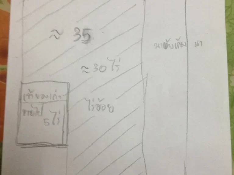 ต้องการขายด่วนที่ดิน36 ไร่ ไร่ละ40000 ราคาต่อรองได้