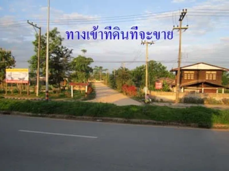 ขายที่ดินด่วน 2 ไร่ใกล้เขตนิคมฯ เชียงของ ราคาถูกมาก