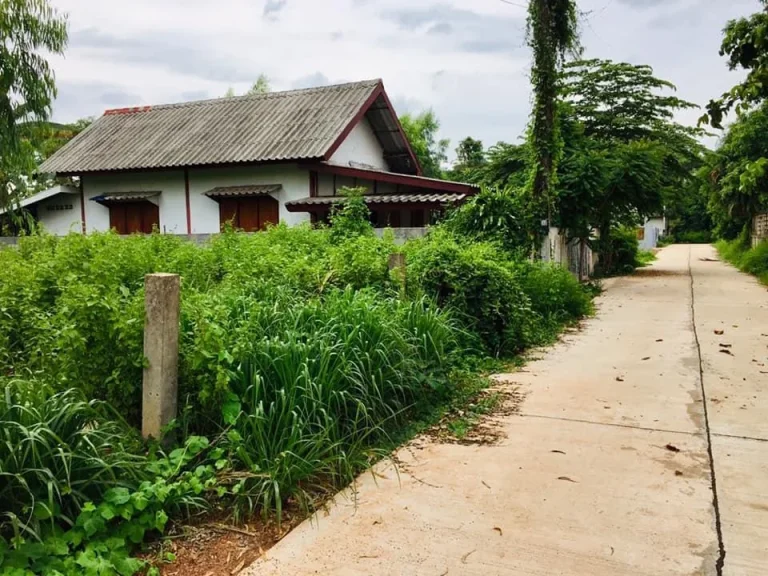 ขายที่ดิน บ้านศรีวิชา ตำบลห้วยยาง อำเภอเมือง จังหวัดสกลนคร เนื้อที่ 100 ตารางวา