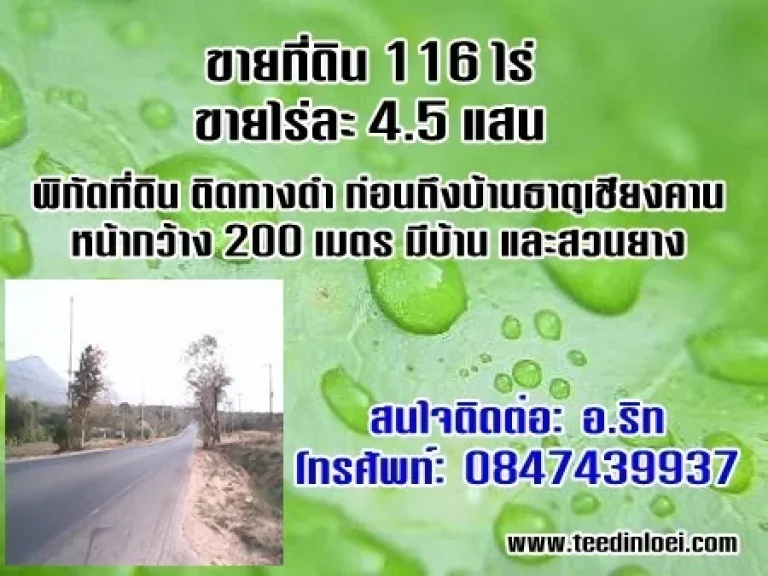 ขายที่ดินติดถนนเลย-เชียงคาน จำนวน 116 ไร่