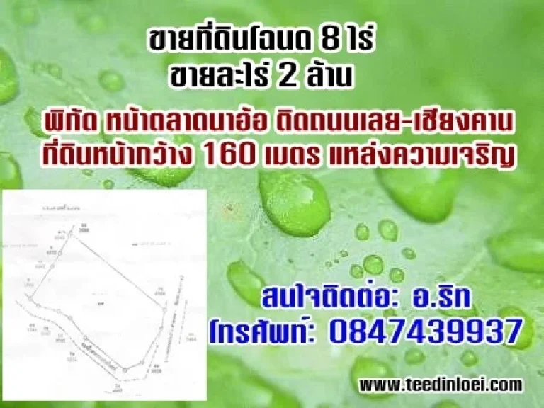 ขายที่ดิน อเมือง โฉนด 8ไร่ ติดทาง 4 เลน เลย-เชียงคาน