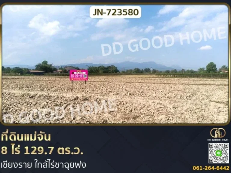 ที่ดินแม่จัน 8 ไร่ 1297 ตรว เชียงราย ใกล้ไร่ชาฉุยฟง