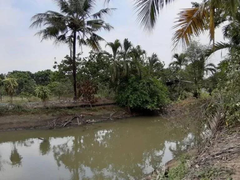 ขายที่ดิน สวนผลไม้ ตขุนคง อหางดง น้ำไฟเข้าถึง