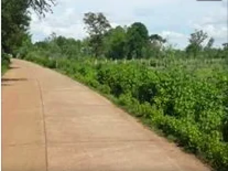 ขายที่ดินติดถนน เขตเทศบาลเมืองโนนสูง อุดร