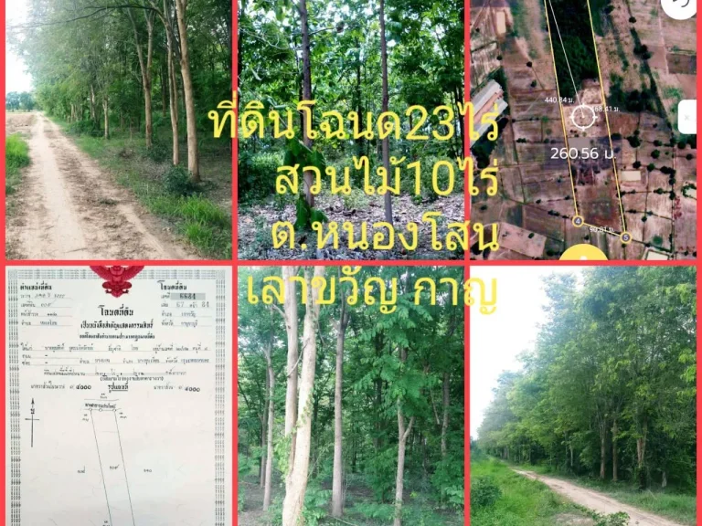 ขายที่ดินโฉนด23ไร่ พร้อมสวนต้นไม้10ไร่ ตหนองโสน อเลาขวัญ จกาญจนบุรี