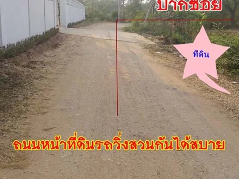  ด่วน 1380000 บ ลดต่ำสุดขีด ที่ดินบหนองหิน 1 ไร่ 20 ตรว