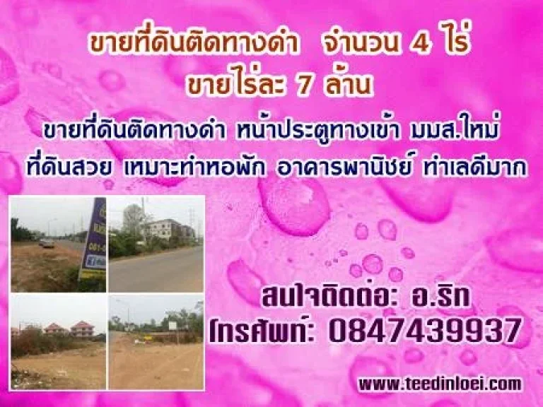 ขายที่ดินติดทางดำ ติดประตูทางเข้า มมส ใหม่ 4 ไร่