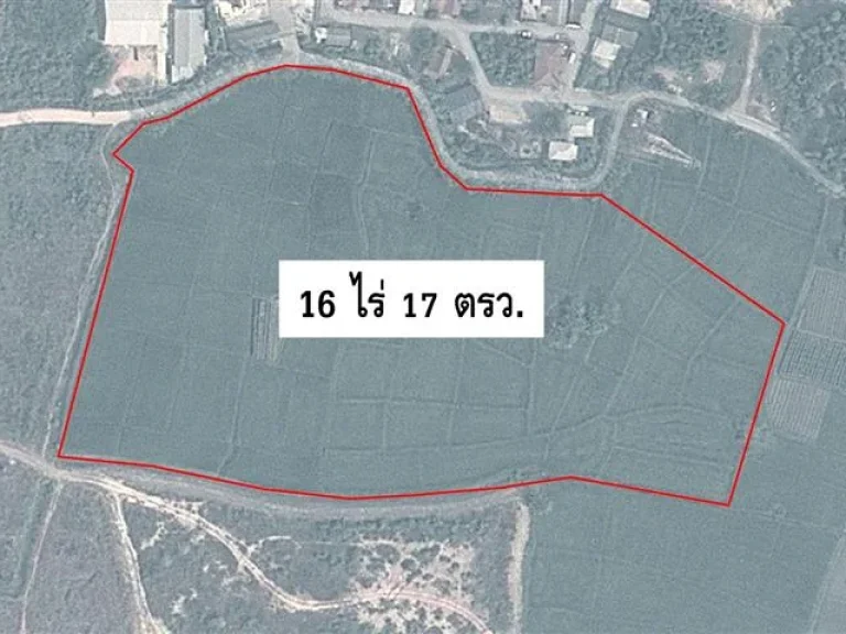 ที่ดินสันทราย 16 ไร่ หนองจ๊อม ไร่ละ 1 ล้านบาท ถนนรอบด้าน ถูกมาก จัดสรรได้ เห็นวิวดอยสุเทพ