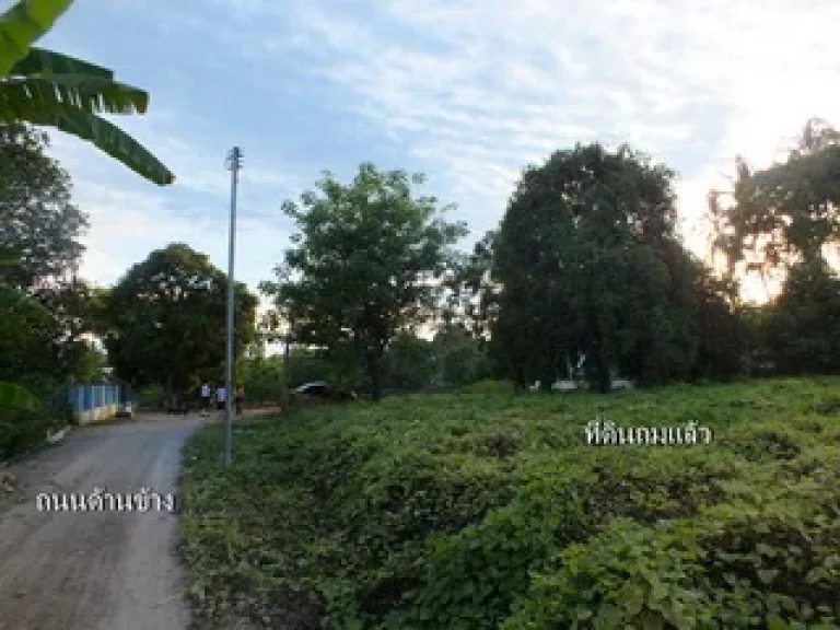 ที่ดินติดคลองอ้อม ราชบุรี