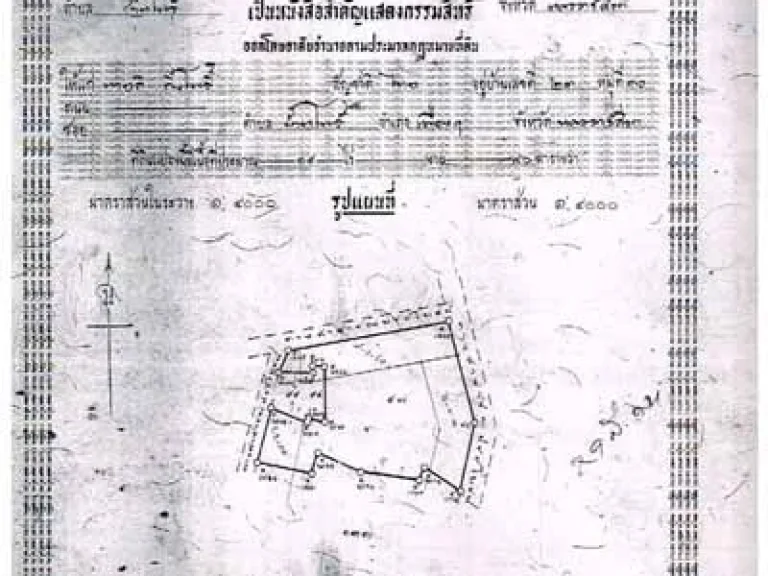 ขายที่ดิน20ไร่ บ้านโพธิ์ กำลังเป็นที่ต้องการของนายทุน