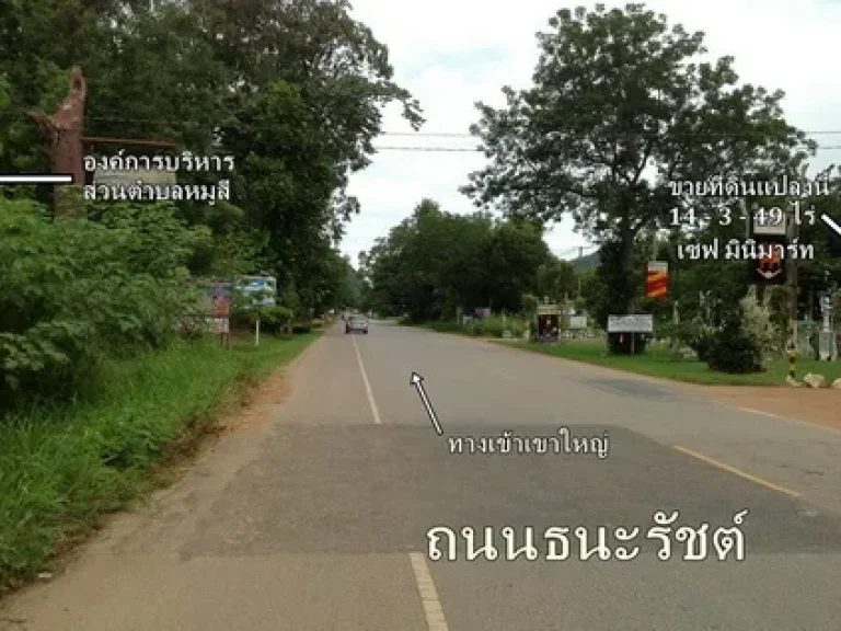 ขายที่ดินเขาใหญ่ติดถนนธนะรัชต์ 14-3-49 ไร่ใกล้ปาลิโอ