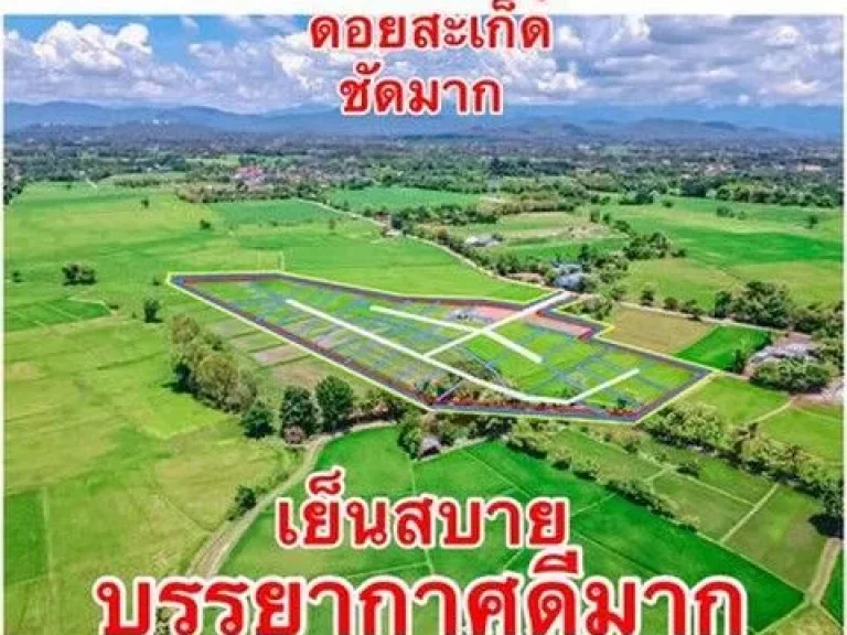 ขายที่ดิน245ตรว-1ไร่ เริ่ม11ลบ ฟรีโอน วิวพระธาตุดอยสะเก็ด