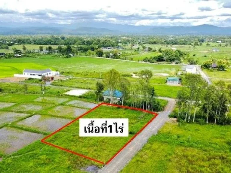 ขายที่ดิน245ตรว-1ไร่ เริ่ม11ลบ ฟรีโอน วิวพระธาตุดอยสะเก็ด