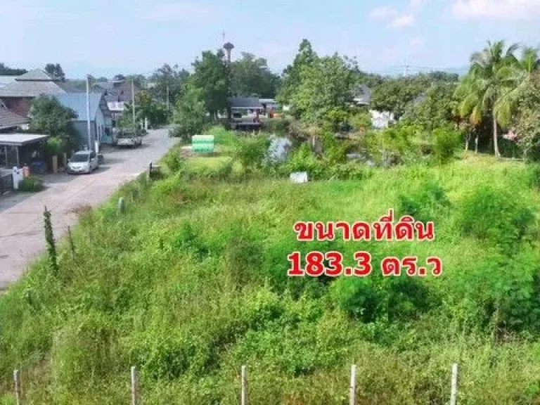 ขายที่ดินแปลงสี่เหลี่ยม สวย 1833 ตรว ใกล้เพื่อนบ้าน