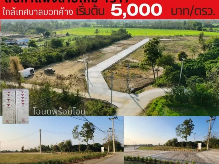 ขายที่ดินจัดสรรเริ่ม 155ตรว 700000บาท ฟรีโอน สาธารณูปโภค