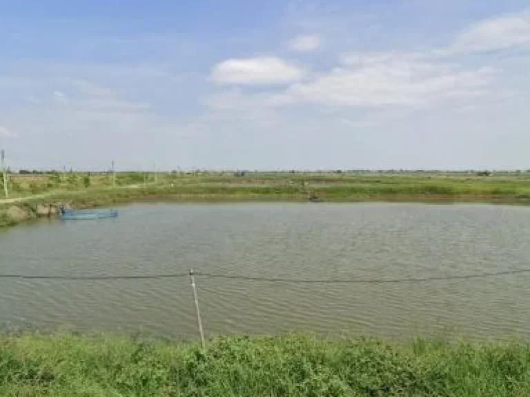 ขายที่ดินตำบลสองคลอง บางปะกง ใกล้ถนนสุขุมวิทสายเก่า