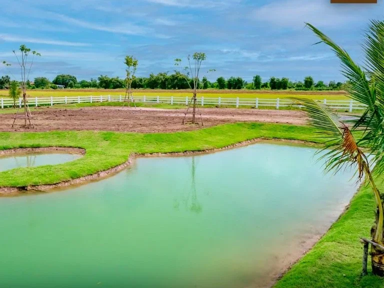 ขายถูกมาก ที่ดินจัดสรร สไตล์สวนเกษตรผสมผสาน ใกล้ชิดธรรมชาติ