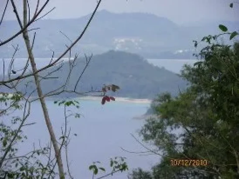 ขายที่ดิน สค1 ซีวิว กมลา นาคาเลย์ Phuket Kmala Seaview of land 180 degrees