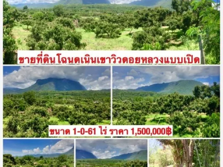 ขายที่ดินโฉนดสโลฟเนินเขาวิวดอยหลวงเชียงดาวและดอยนางแบบเปิดสวยงามมาก