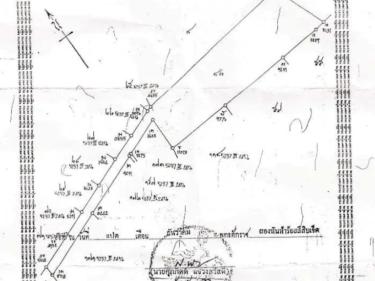 ขายด่วนที่นา 38ไร่ เจ้าของขายเอง ด่วน 