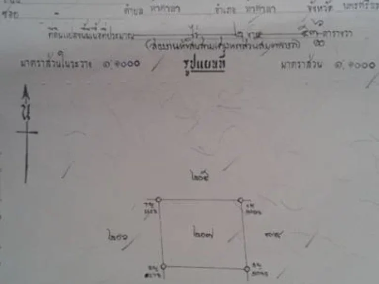 ต้องการขายที่ดินราคาถูกใกล้ปอเนาะ ใกล้มัสยิด