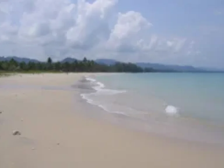 ขายที่ดินแปลงสวยมาก เลียบทะเลหาดบางสัก หาดสนและแหล่งดูปะการัง ทะเลอันดามัน พื้นที่ 600 ไร่ตบางสัก อตะกั่วป่า จพังงา