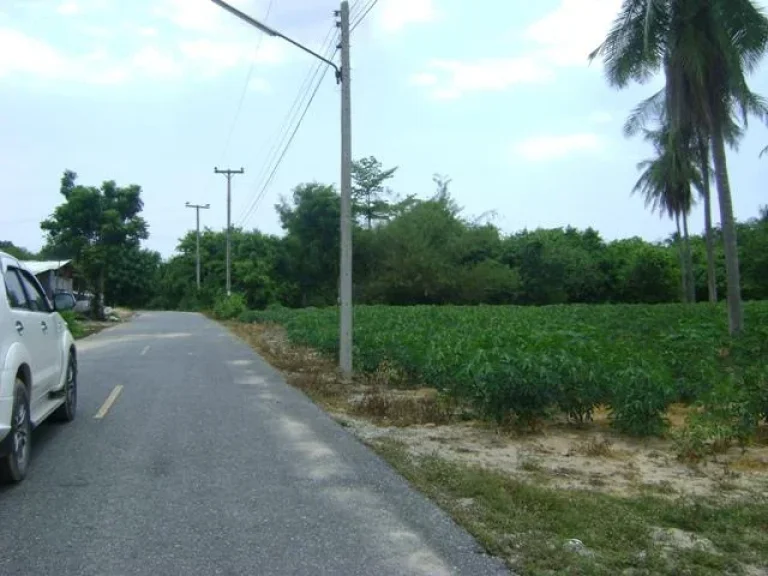 ที่ดิน14ไร่ ใกล้สนามบิน หนองค้อ ติดถนนลาดยาง ที่สูงไม่ต้องถม ราคาไร่ละ1ล้านบาท