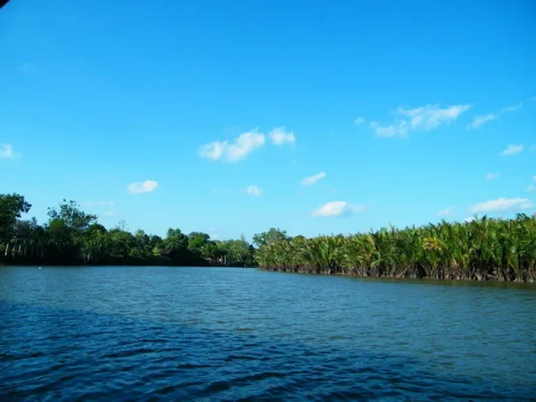 ขายต่ำกว่าราคาประเมิน ที่ดินติดทะเสาป เลียบหาดแม่พิมพ์ โฉนด 10 ไร่